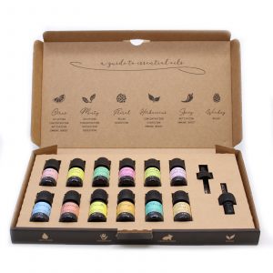 Aromatherapy Essential Oil Set - Top 12